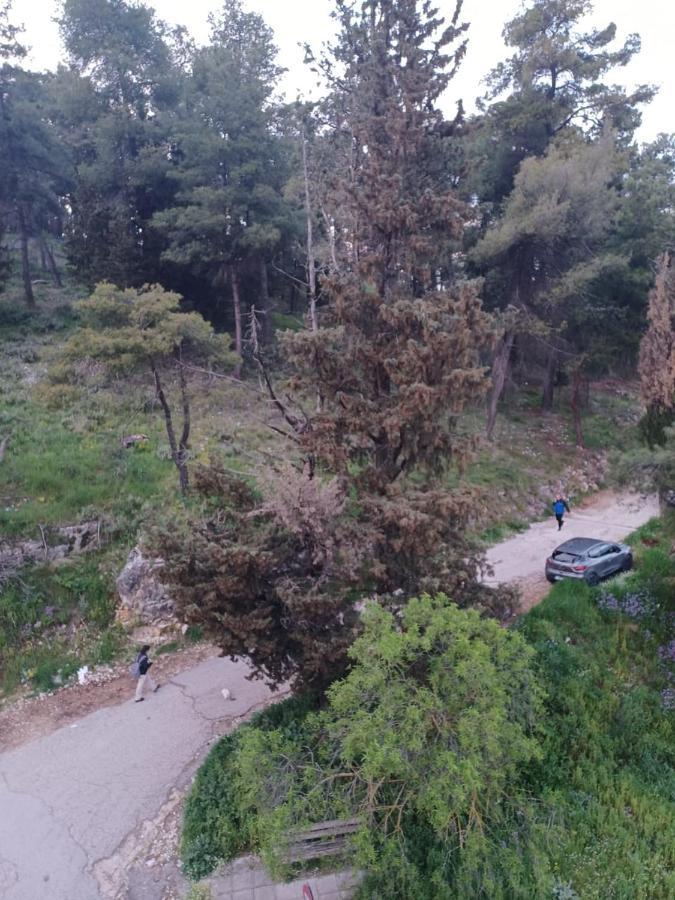 Ένα Μέρος Για Ήσυχες Διακοπές Apartamento Ioannina Exterior foto